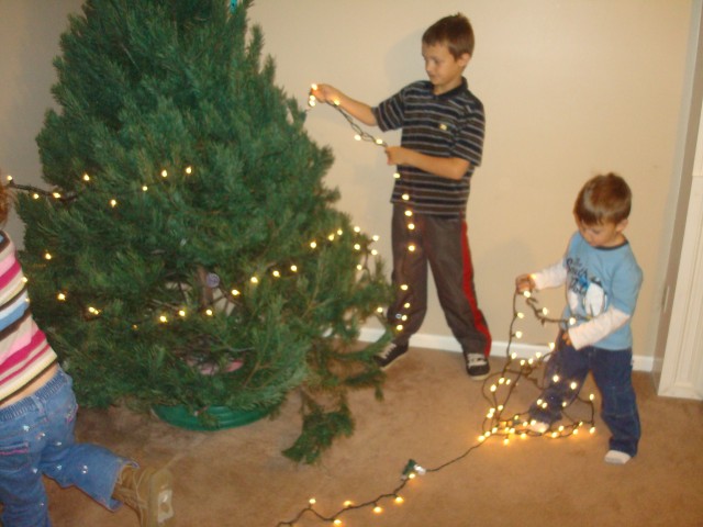 We need Elijah's height to put the lights up!