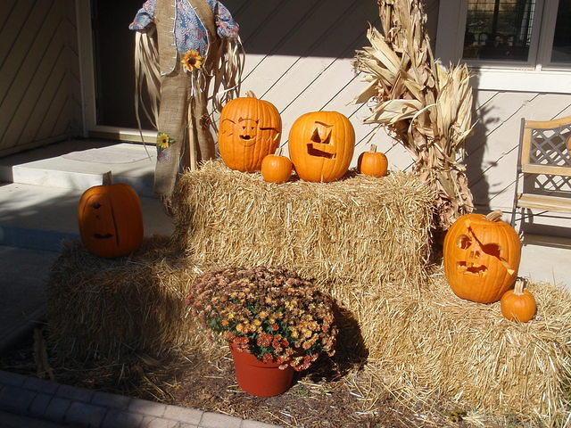 PA311398.JPG