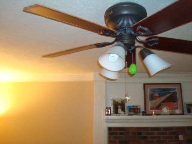 DSC06409.JPG