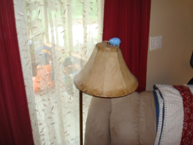 DSC06413.JPG