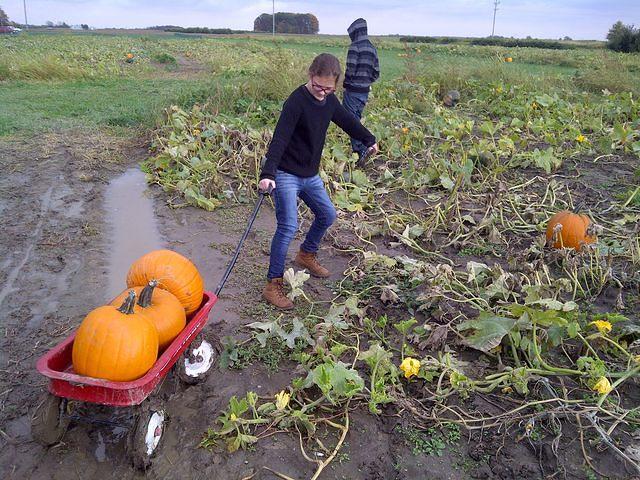 IMG-20141016-00241