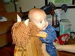 I supposed to do what with this horse?