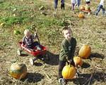 It looks like Timothy is sleep walking with his pumpkin :)