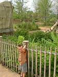 No..we didn't tie Timmy to the bamboo fence :)