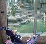 That is one BIG teddy bear!