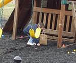I found a lot of eggs around the swings.