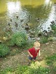 Are you sure I can't get in the water with the geese?