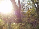 Just another cool picture.