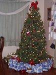 Next year you will probably just see the tip of the tree :)