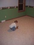 My new Dino room is done! I love it!!!