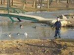 Timothy and Elijah did not care for the geese :) It was so funny!!