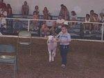 Timothy is walking Spot in front of the judges.