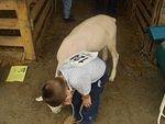 Timothy is talking to Spot before the show.