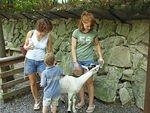 May I have a drink? Elijah decided to brush this goat also!
