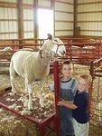 Ewe need to smile Elijah!! (har har)