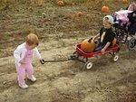Abigail is pulling Elijah! Mary is wondering why the traffic is backed up!!!!