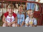 Elijah is wondering if someone will buy him :) hehe Brooke and Nicholas are just happy :) 