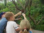 Elijah was trying to catch one! He has become a brave little thing!!