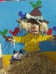 This job is for the birds!!!