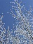 It was so beautiful out this morning!!