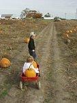 Hey why don't you get out of the wagon and walk Abigail?!?!?!