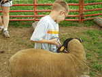 Timothy has "Rupert" eating right out of his hand!!