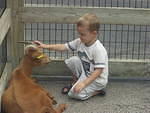 Uhh.. Elijah named this goat "Broverd"??