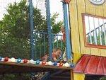 Timothy had to go back down the ladder and pick up Elijah's shoe.