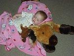 After a hard day on the range..Abigail's trusty steed is always there for her :)