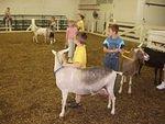 It is funny to watch Timothy showing an animal that is SOOOO much bigger than him :)