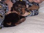 Hope you are a dog lover!!! You know I am going to keep posting pictures of this litte booger!!
