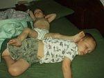 Look how well they are getting along :) So cute!