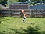 Go Volleyball Timmy!