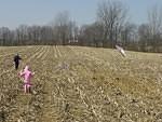 Mommy! My kite fell down :(