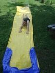 Go belly-slidin' dude!