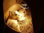It's so warm.......