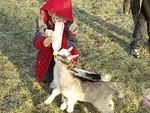 One nipple...Two goats :)