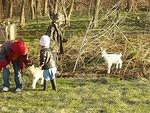 The kids had fun playing with the kids :) hehe