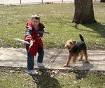 Scruffy seems more interested in the fact that Timmy just threw a frisbee than actually going after the frisbee itself.