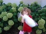 Marrying cotton candy isn't a good idea though...