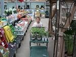 Plants!!!