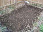 I got up early and raked/hoed the garden.
