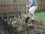 Then it's time to dig some holes!