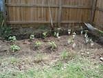 This is about as sparce of a garden as we've even har.