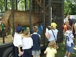 Fair 2006