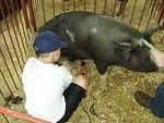 Timothy learns fast!  watch what you are clipping :):)