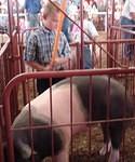 Obi-wan has taught you well, young pig-walker!  Pauuuu-Haaaa Pauuuu-Haaaa