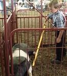 Take that, piggie!