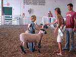 Thank you, oh grand Queen of the Sheeps.