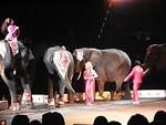 Wearing outfits like these in Indiana without a herd of elephants will get you arrested.